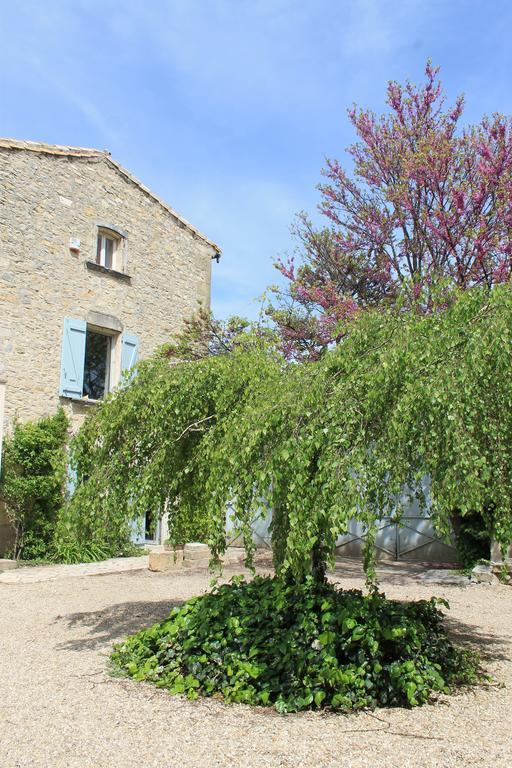 Bed and Breakfast La Rose Saint-Gervasy Экстерьер фото